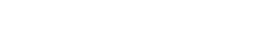 ffl-logo-trans